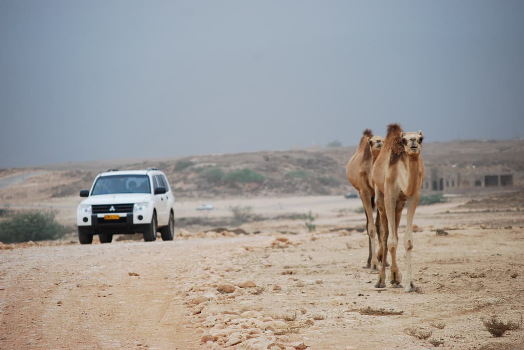 PRIVATE DESERT SAFARI